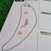 Pack "Parcours Performance"